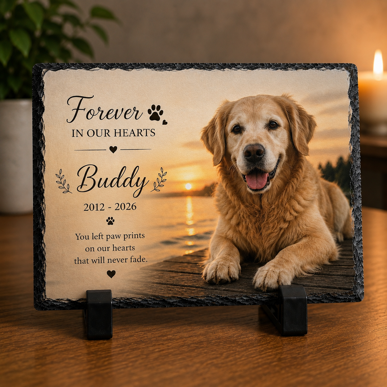 Memorial plaque for a dog named Buddy with sunset background